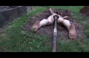 لعن الأميرة موقع تحميل سكس اجنبي